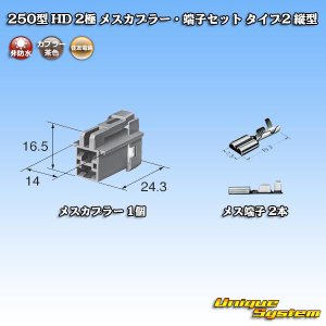 画像: 住友電装 250型 HD 非防水 2極 メスカプラー・端子セット タイプ2 縦型