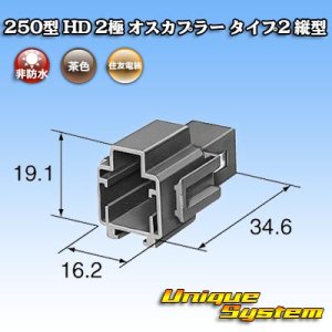 画像: 住友電装 250型 HD 非防水 2極 オスカプラー タイプ2 縦型