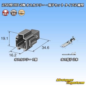 画像: 住友電装 250型 HD 非防水 2極 オスカプラー・端子セット タイプ2 縦型