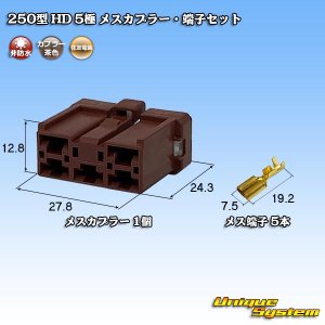 画像: 住友電装 250型 HD 非防水 5極 メスカプラー・端子セット