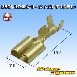 画像: 住友電装 250型 HM用シリーズ 非防水 メス端子 (爪無し)