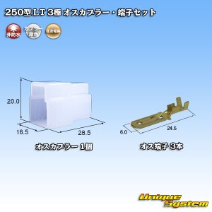 画像: 住友電装 250型 LT 非防水 3極 オスカプラー・端子セット