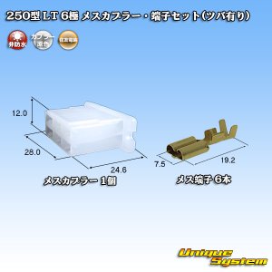 画像: 住友電装 250型 LT 非防水 6極 メスカプラー・端子セット(ツバ有り)