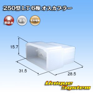 画像: 住友電装 250型 LT 非防水 6極 オスカプラー