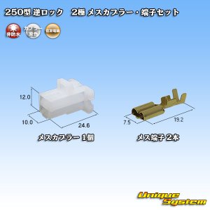 画像: 住友電装 250型 逆ロック 非防水 2極 メスカプラー・端子セット (オス側ブラケット有り・無しどちらでも使用可)