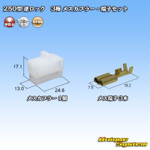 画像: 住友電装 250型 逆ロック 非防水 3極 メスカプラー・端子セット