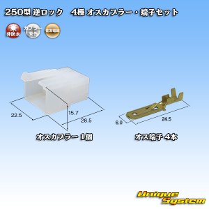 画像: 住友電装 250型 逆ロック 非防水 4極 オスカプラー・端子セット