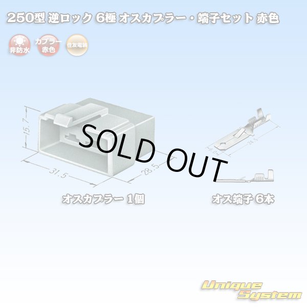 画像5: 住友電装 250型 逆ロック 非防水 6極 オスカプラー・端子セット 赤色 (5)