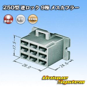 画像: 住友電装 250型 逆ロック 非防水 9極 メスカプラー