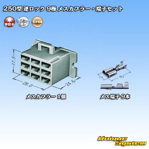 画像: 住友電装 250型 逆ロック 非防水 9極 メスカプラー・端子セット