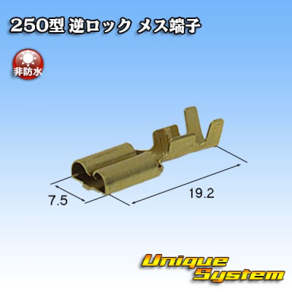 画像2: 住友電装 250型 逆ロックシリーズ用 非防水 メス端子 サイズ：M(0.5-2.0mm2) (2)