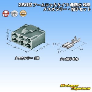 画像: 住友電装 250型 アームロックタイプ 非防水 6極 メスカプラー・端子セット