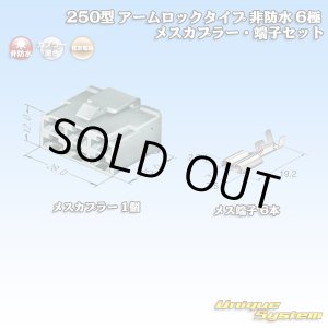 画像: 住友電装 250型 アームロックタイプ 非防水 6極 メスカプラー・端子セット