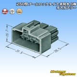 画像: 住友電装 250型 アームロックタイプ 非防水 6極 オスカプラー