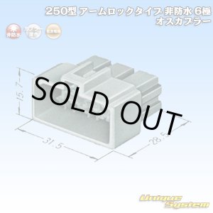画像: 住友電装 250型 アームロックタイプ 非防水 6極 オスカプラー