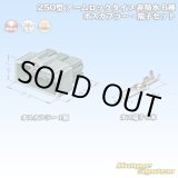 画像: 住友電装 250型 アームロックタイプ 非防水 6極 オスカプラー・端子セット