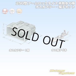 画像: 住友電装 250型 アームロックタイプ 非防水 6極 オスカプラー・端子セット