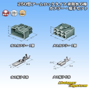 画像: 住友電装 250型 アームロックタイプ 非防水 6極 カプラー・端子セット