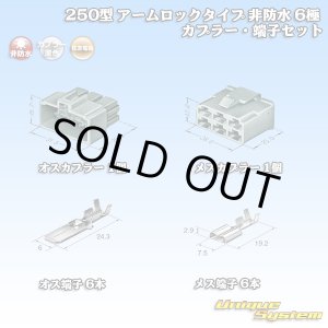 画像: 住友電装 250型 アームロックタイプ 非防水 6極 カプラー・端子セット