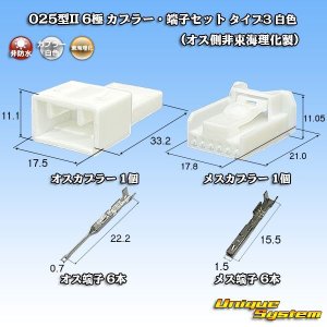 画像: 東海理化 025型II 非防水 6極 カプラー・端子セット タイプ3 (オス側非東海理化製/メスカプラー白色)