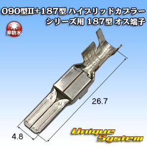 画像: 東海理化 090型II+187型 ハイブリッドカプラーシリーズ用 非防水 187型 オス端子