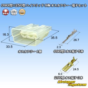 画像: 東海理化 090I型+250型 ハイブリッド 非防水 8極 オスカプラー・端子セット