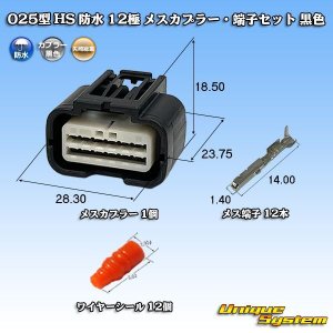 画像: 矢崎総業 025型 HS 防水 12極 メスカプラー・端子セット 黒色