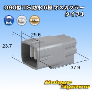 画像: 住友電装 090型 TS 防水 6極 オスカプラー タイプ1