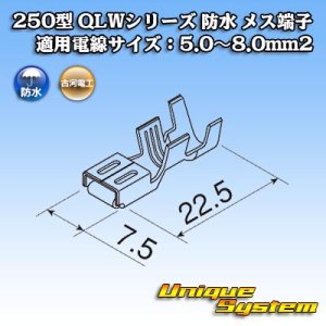 画像: 古河電工 250型 QLWシリーズ 防水 メス端子 適用電線サイズ：5.0〜8.0mm2