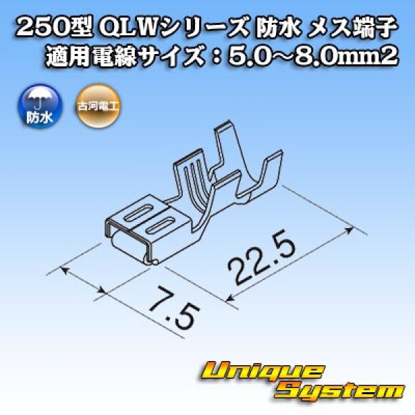画像3: 古河電工 250型 QLWシリーズ 防水 メス端子 適用電線サイズ：5.0〜8.0mm2 (3)