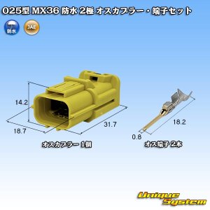 画像: 日本航空電子JAE 025型 MX36 防水 2極 オスカプラー・端子セット