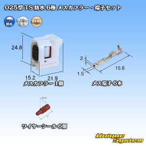 画像: 住友電装 025型 TS 防水 6極 メスカプラー・端子セット タイプ1