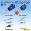 画像7: 住友電装 090型 RS(スタンダードタイプ2) 防水 4極 カプラー・端子セット 青色 リテーナー付属 タイプ2 (7)