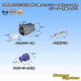 画像: 住友電装 090型 RS(E-RS) 防水 2極 メスカプラー・端子セット 灰色 リテーナー付属 タイプ1
