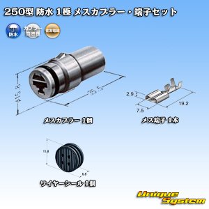 画像: 住友電装 250型 防水 1極 メスカプラー・端子セット