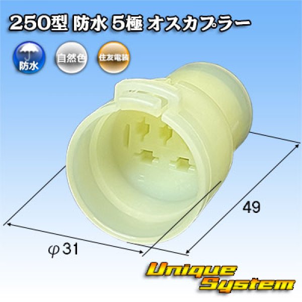 画像1: 住友電装 250型 防水 5極 オスカプラー (1)