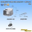 画像6: 東海理化 090型II 防水 12極 オスカプラー・端子セット 黒色 (6)