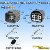 画像: 東海理化 090型II 防水 12極 カプラー・端子セット 灰色