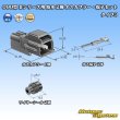 画像6: 矢崎総業 090型II 防水 2極 オスカプラー・端子セット タイプ3 (6)