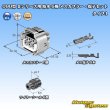 画像6: 矢崎総業 090型II 防水 6極 メスカプラー・端子セット タイプ1 (6)