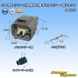 画像1: 矢崎総業 090型II 防水 6極 オスカプラー・端子セット タイプ1 (1)