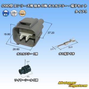 画像: 矢崎総業 090型II 防水 6極 オスカプラー・端子セット タイプ1