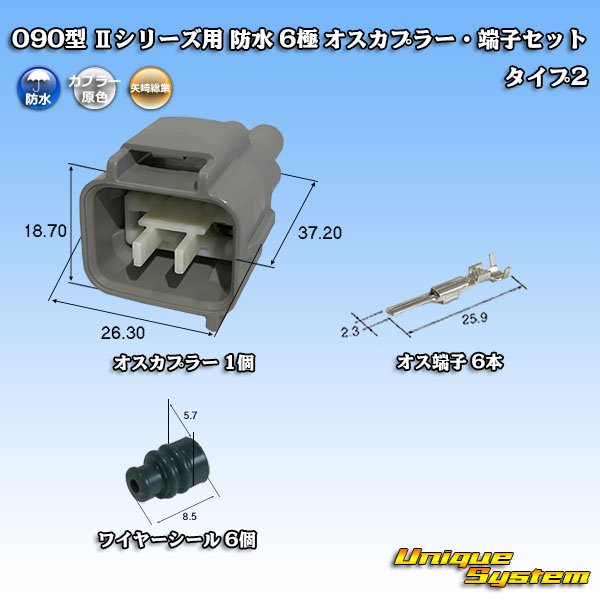 画像1: 矢崎総業 090型II 防水 6極 オスカプラー・端子セット タイプ2 (1)