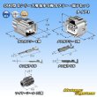画像7: 矢崎総業 090型II 防水 6極 カプラー・端子セット タイプ1 (7)