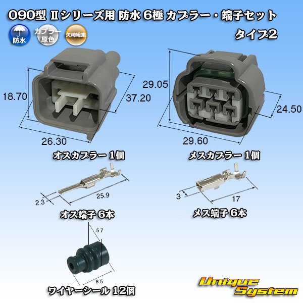 画像1: 矢崎総業 090型II 防水 6極 カプラー・端子セット タイプ2 (1)