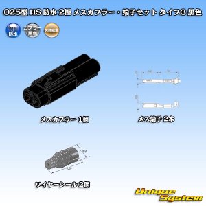 画像: 矢崎総業 025型 HS 防水 2極 メスカプラー・端子セット タイプ3 黒色