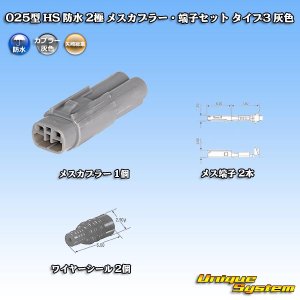 画像: 矢崎総業 025型 HS 防水 2極 メスカプラー・端子セット タイプ3 灰色