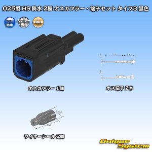画像: 矢崎総業 025型 HS 防水 2極 オスカプラー・端子セット タイプ3 黒色