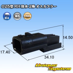 画像: 矢崎総業 025型 RH 防水 2極 オスカプラー タイプ1 黒色