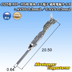 画像: 矢崎総業 025型 RH用 防水 オス端子 適用電線サイズ：AVSS 0.3mm2 / CAVS 0.3mm2 等